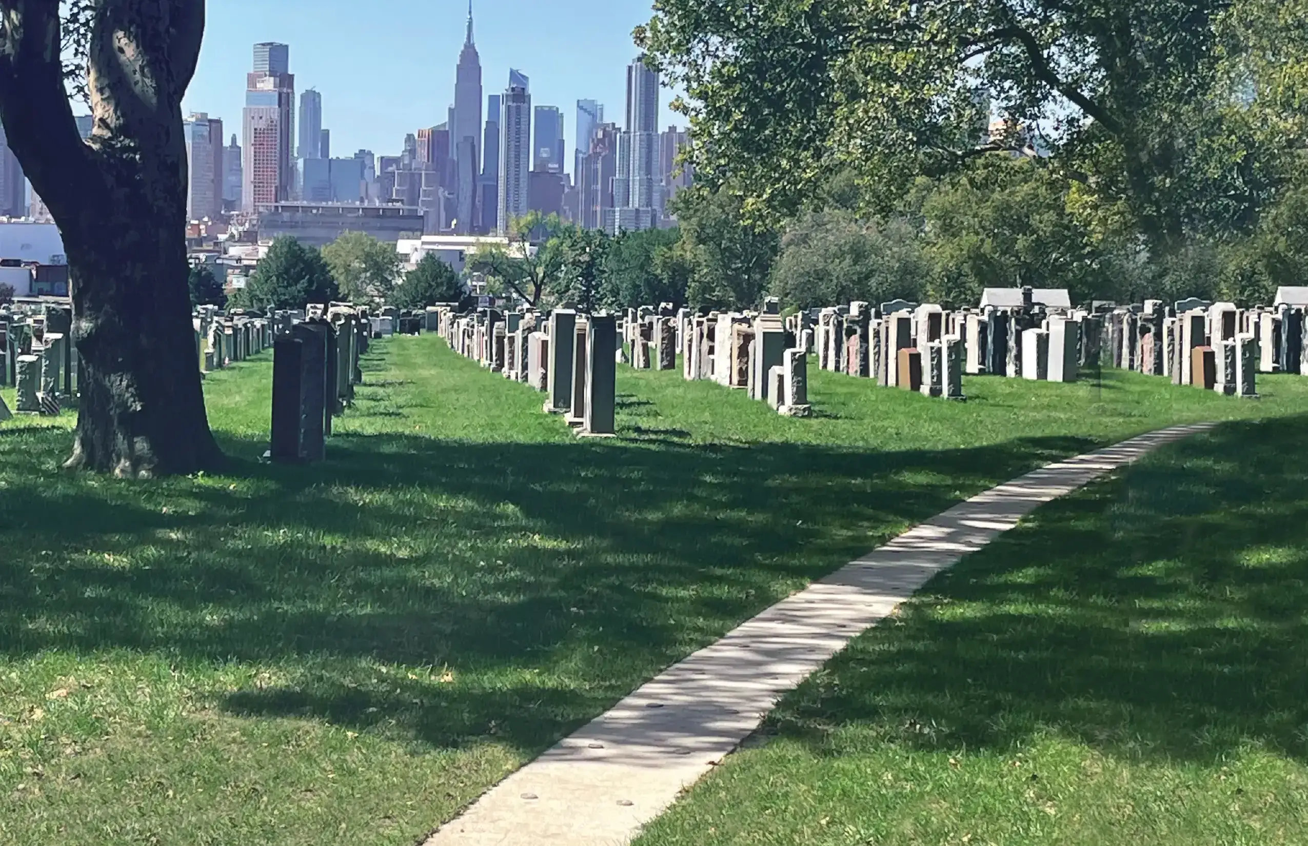 Calvary-Cemetery-New-Section
